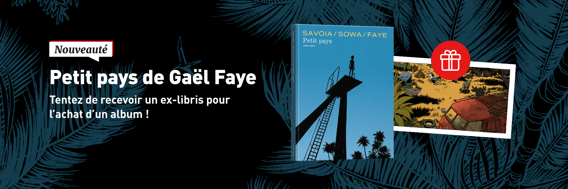 Nouveauté : Petit Pays de Gaël Faye adapté en BD !